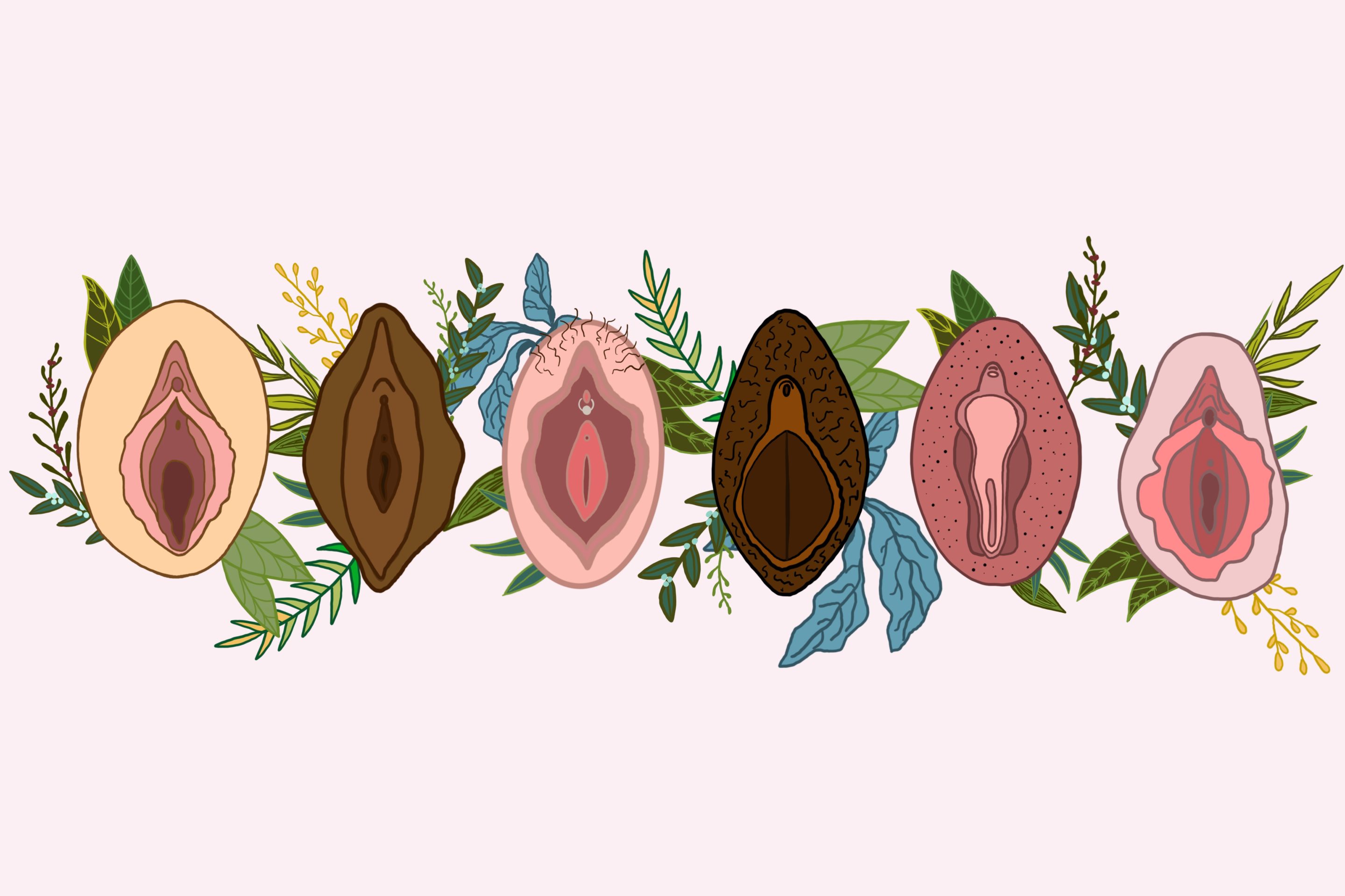 Vulva anxiety and the rise of labiaplasty — Ms